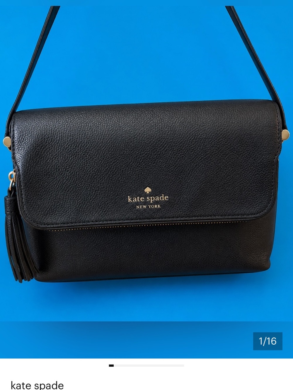 Kate Spade Chester Street Annalise Leather Crossbody Bag